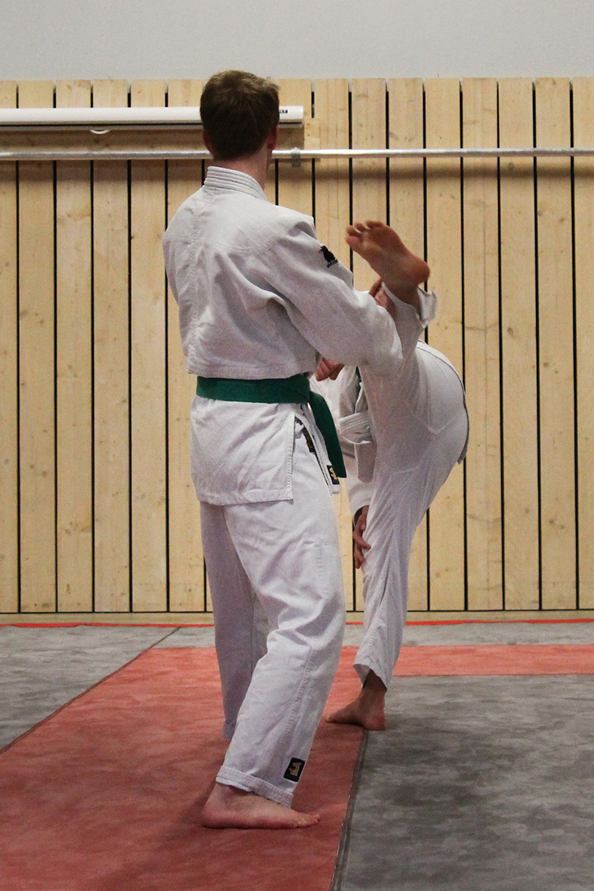 Jiu Jitsu Judo Andijk Asonia