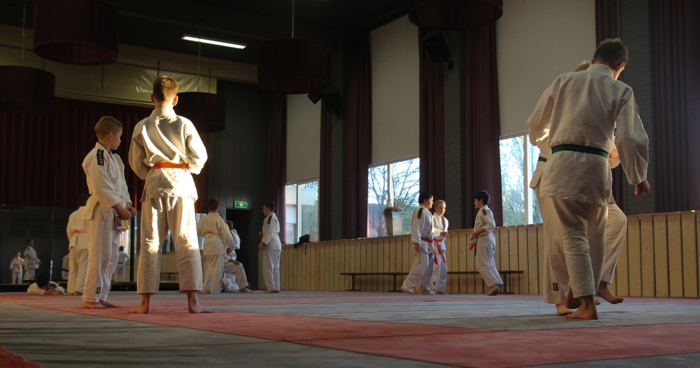 Over de organisatie Asonia Judo Andijk