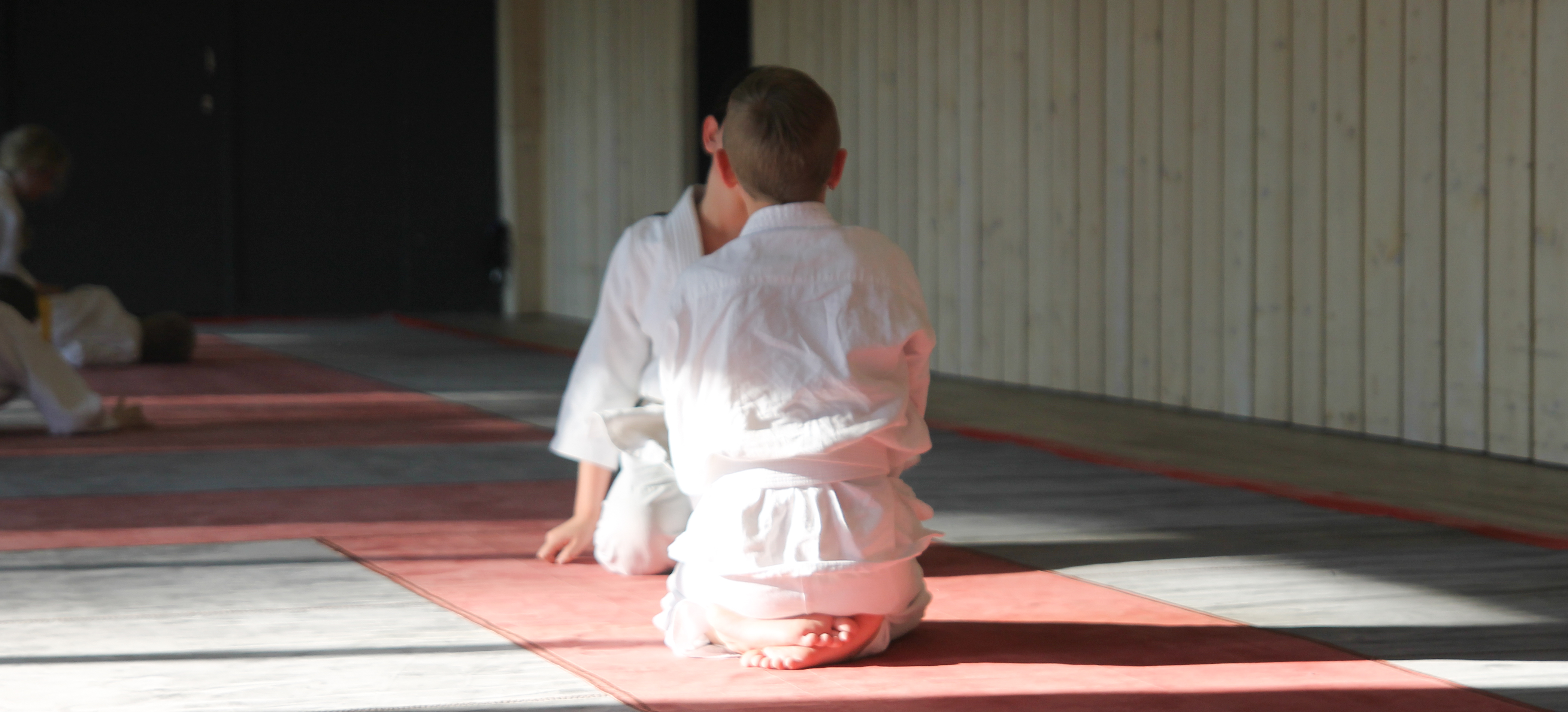 wat is judo? asonia judo andijk